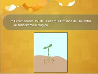 El remanente 1% de la energía lumínica del sol entra
al subsistema biológico
 
