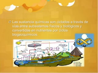 Las sustancia químicas son cicladas a través de
vías entre subsistemas físicos y biológicos y
convertidas en nutrientes por ciclos
biogeoquímicos.
 
