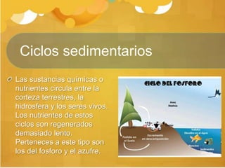 Las sustancias químicas o
nutrientes circula entre la
corteza terrestres, la
hidrosfera y los seres vivos.
Los nutrientes de estos
ciclos son regenerados
demasiado lento.
Perteneces a este tipo son
los del fosforo y el azufre.
Ciclos sedimentarios
 