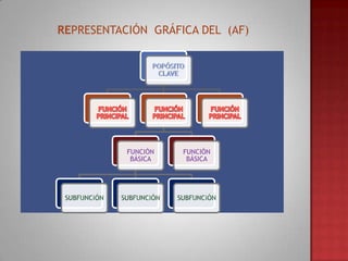 REPRESENTACIÓN GRÁFICA DEL (AF)

FUNCIÓN
BÁSICA

FUNCIÓN
BÁSICA

 
