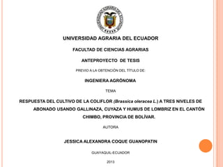 UNIVERSIDAD AGRARIA DEL ECUADOR
FACULTAD DE CIENCIAS AGRARIAS
ANTEPROYECTO DE TESIS
PREVIO A LA OBTENCIÓN DEL TÍTULO DE:

INGENIERA AGRÓNOMA
TEMA

RESPUESTA DEL CULTIVO DE LA COLIFLOR (Brassica oleracea L.) A TRES NIVELES DE
ABONADO USANDO GALLINAZA, CUYAZA Y HUMUS DE LOMBRIZ EN EL CANTÓN
CHIMBO, PROVINCIA DE BOLÍVAR.
AUTORA

JESSICA ALEXANDRA COQUE GUANOPATIN
GUAYAQUIL-ECUADOR
2013

 