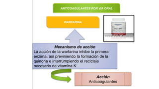 ANTICOAGULANTES POR VIA ORAL
WARFARINA
Mecanismo de acción
La acción de la warfarina inhibe la primera
enzima, así previniendo la formación de la
quinona e interrumpiendo el reciclaje
necesario de vitamina K.
Acción
Anticoagulantes
 