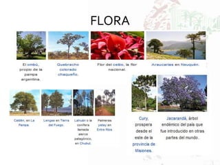 FLORA
 