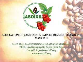 ASOCIACION DE CAMPESINOS PARA EL DESARROLLO SOCIAL
MAYA IXIL
CALLE REAL, CANTON ILOM CHAJUL, QUICHE, GUATEMALA
TEL: (+502)5363-2966, (+502)5171-6132
E-mail: info@asoixil.org
www.asoixil.org
 