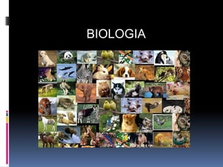 BIOLOGIA  