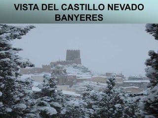 VISTA DEL CASTILLO NEVADO
BANYERES
 