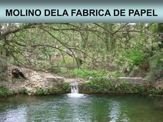 MOLINO DELA FABRICA DE PAPEL
 
