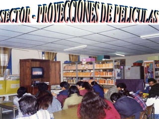 SECTOR - PROYECCIONES DE PELICULAS 