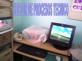SECTOR DE PROCESOS TECNICO 