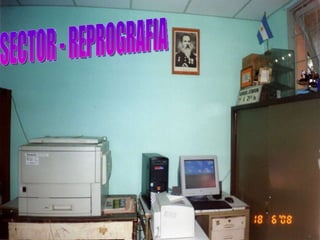 SECTOR - REPROGRAFIA 