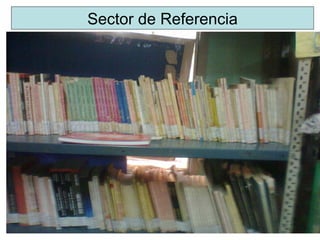 Sector de Referencia 