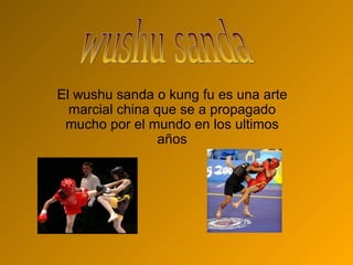 El wushu sanda o kung fu es una arte marcial china que se a propagado mucho por el mundo en los ultimos años wushu sanda 