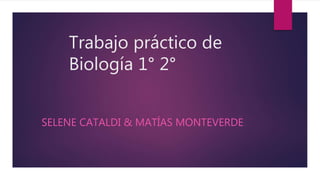 Trabajo práctico de
Biología 1° 2°
SELENE CATALDI & MATÍAS MONTEVERDE
 