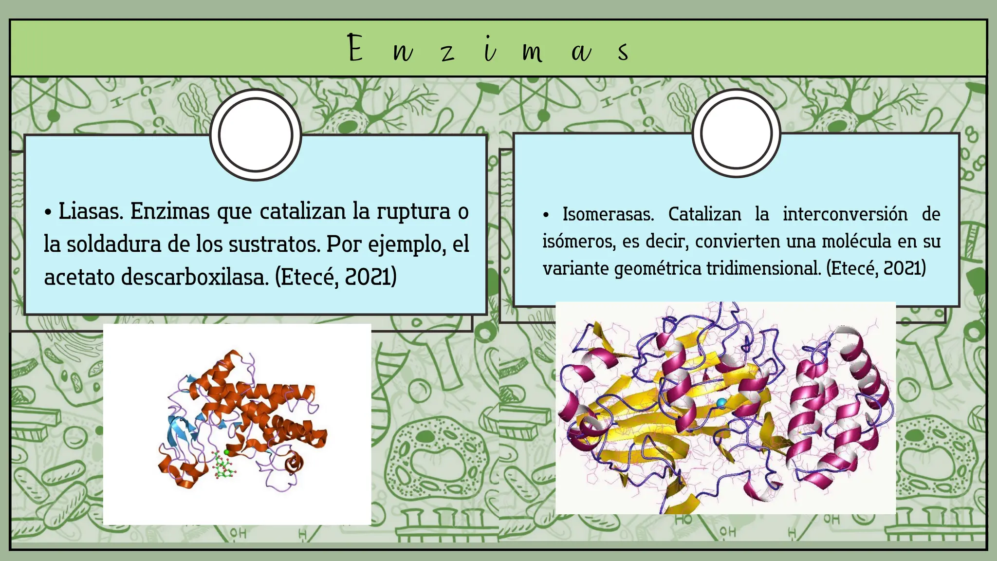 presentacion-de-biologia-sobre-las-enzimas-ppt