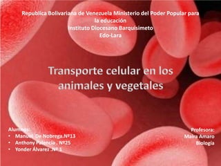 Republica Bolivariana de Venezuela Ministerio del Poder Popular para 
la educación 
Instituto Diocesano Barquisimeto 
Edo-Lara 
Alumnos: 
• Manuel De Nobrega.Nº13 
• Anthony Palencia . Nº25 
• Yonder Álvarez .Nº 1 
Profesora: 
Maira Amaro 
Biología 
 