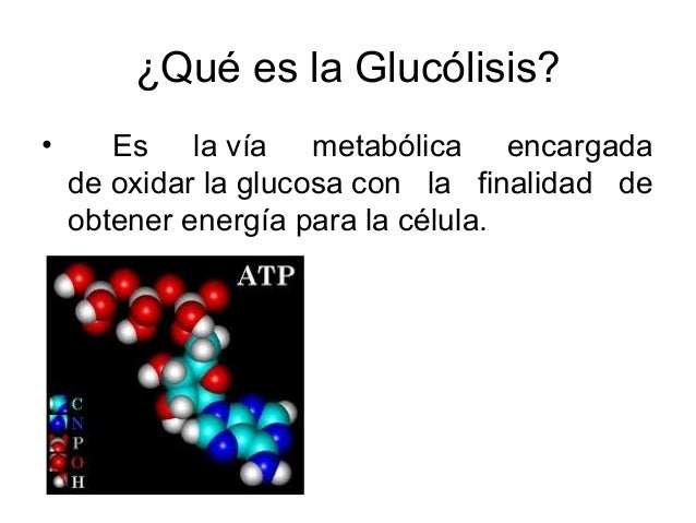 glucólisis aerobia y anaerobica