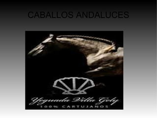 CABALLOS ANDALUCES 