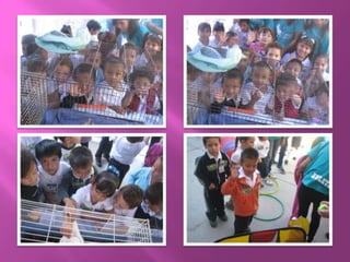 Presentacion de candidatas