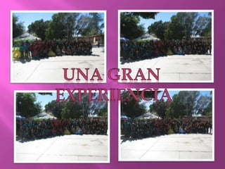 Presentacion de candidatas