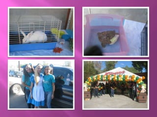 Presentacion de candidatas