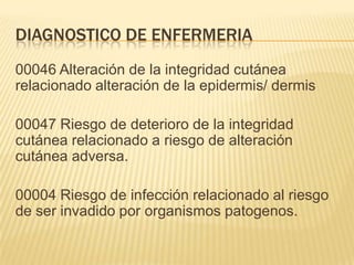DIAGNOSTICO DE ENFERMERIA
00046 Alteración de la integridad cutánea
relacionado alteración de la epidermis/ dermis
00047 Riesgo de deterioro de la integridad
cutánea relacionado a riesgo de alteración
cutánea adversa.
00004 Riesgo de infección relacionado al riesgo
de ser invadido por organismos patogenos.
 