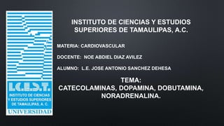 INSTITUTO DE CIENCIAS Y ESTUDIOS
SUPERIORES DE TAMAULIPAS, A.C.
MATERIA: CARDIOVASCULAR
DOCENTE: NOE ABDIEL DIAZ AVILEZ
ALUMNO: L.E. JOSE ANTONIO SANCHEZ DEHESA
TEMA:
CATECOLAMINAS, DOPAMINA, DOBUTAMINA,
NORADRENALINA.
 