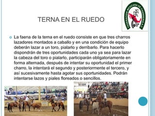 TERNA EN EL RUEDO
 La faena de la terna en el ruedo consiste en que tres charros
lazadores montados a caballo y en una condición de equipo
deberán lazar a un toro, pialarlo y derribarlo. Para hacerlo
dispondrán de tres oportunidades cada uno ya sea para lazar
la cabeza del toro o pialarlo, participarán obligatoriamente en
forma alternada, después de intentar su oportunidad el primer
charro, la intentará el segundo y posteriormente el tercero, y
así sucesivamente hasta agotar sus oportunidades. Podrán
intentarse lazos y piales floreados o sencillos.
 
