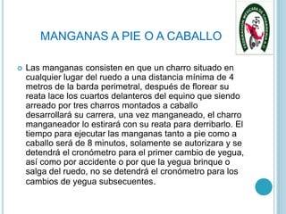 MANGANAS A PIE O A CABALLO
 Las manganas consisten en que un charro situado en
cualquier lugar del ruedo a una distancia mínima de 4
metros de la barda perimetral, después de florear su
reata lace los cuartos delanteros del equino que siendo
arreado por tres charros montados a caballo
desarrollará su carrera, una vez manganeado, el charro
manganeador lo estirará con su reata para derribarlo. El
tiempo para ejecutar las manganas tanto a pie como a
caballo será de 8 minutos, solamente se autorizara y se
detendrá el cronómetro para el primer cambio de yegua,
así como por accidente o por que la yegua brinque o
salga del ruedo, no se detendrá el cronómetro para los
cambios de yegua subsecuentes.
 