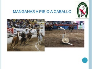 MANGANAS A PIE O A CABALLO
 