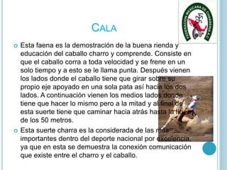 CALA
 Esta faena es la demostración de la buena rienda y
educación del caballo charro y comprende. Consiste en
que el caballo corra a toda velocidad y se frene en un
solo tiempo y a esto se le llama punta. Después vienen
los lados donde el caballo tiene que girar sobre su
propio eje apoyado en una sola pata así hacia los dos
lados. A continuación vienen los medios lados donde
tiene que hacer lo mismo pero a la mitad y al final de
esta suerte tiene que caminar hacia atrás hasta la línea
de los 50 metros.
 Esta suerte charra es la considerada de las más
importantes dentro del deporte nacional por excelencia,
ya que en esta se demuestra la conexión comunicación
que existe entre el charro y el caballo.
 