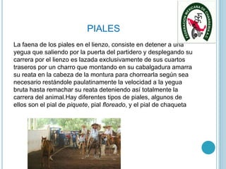 PIALES
La faena de los piales en el lienzo, consiste en detener a una
yegua que saliendo por la puerta del partidero y desplegando su
carrera por el lienzo es lazada exclusivamente de sus cuartos
traseros por un charro que montando en su cabalgadura amarra
su reata en la cabeza de la montura para chorrearla según sea
necesario restándole paulatinamente la velocidad a la yegua
bruta hasta remachar su reata deteniendo así totalmente la
carrera del animal.Hay diferentes tipos de piales, algunos de
ellos son el pial de piquete, pial floreado, y el pial de chaqueta
 