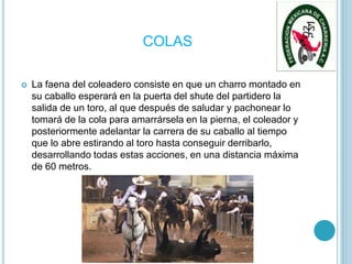 COLAS
 La faena del coleadero consiste en que un charro montado en
su caballo esperará en la puerta del shute del partidero la
salida de un toro, al que después de saludar y pachonear lo
tomará de la cola para amarrársela en la pierna, el coleador y
posteriormente adelantar la carrera de su caballo al tiempo
que lo abre estirando al toro hasta conseguir derribarlo,
desarrollando todas estas acciones, en una distancia máxima
de 60 metros.
 