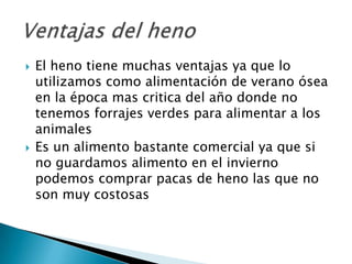    El heno tiene muchas ventajas ya que lo
    utilizamos como alimentación de verano ósea
    en la época mas critica del año donde no
    tenemos forrajes verdes para alimentar a los
    animales
   Es un alimento bastante comercial ya que si
    no guardamos alimento en el invierno
    podemos comprar pacas de heno las que no
    son muy costosas
 