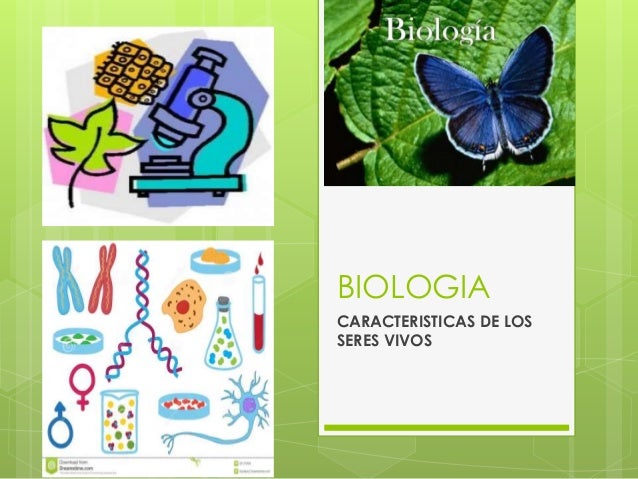 Caracteristicas de los seres vivos