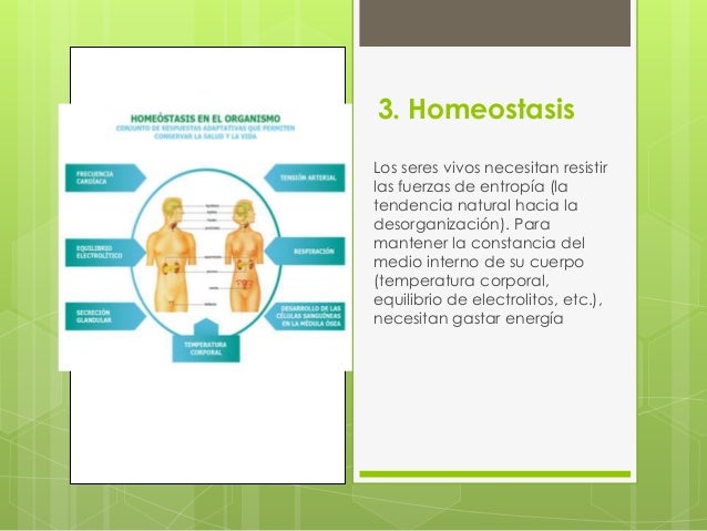Que es atp metabolismo ?