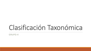 Clasificación Taxonómica
GRUPO 4
 