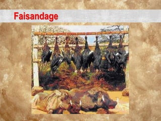 Faisandage
 