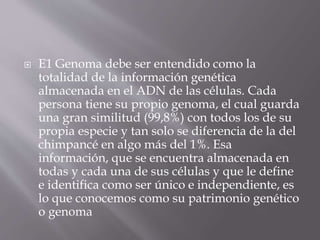  E1 Genoma debe ser entendido como la
totalidad de la información genética
almacenada en el ADN de las células. Cada
persona tiene su propio genoma, el cual guarda
una gran similitud (99,8%) con todos los de su
propia especie y tan solo se diferencia de la del
chimpancé en algo más del 1%. Esa
información, que se encuentra almacenada en
todas y cada una de sus células y que le define
e identifica como ser único e independiente, es
lo que conocemos como su patrimonio genético
o genoma
 