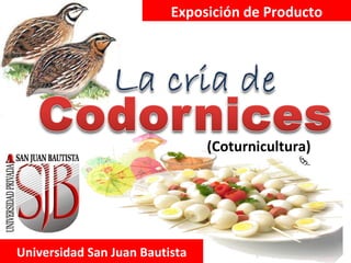 Exposición de Producto Universidad San Juan Bautista (Coturnicultura) 