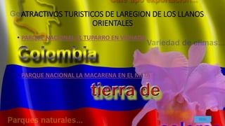 ATRACTIVOS TURISTICOS DE LAREGION DE LOS LLANOS
ORIENTALES
• PARQUE NACIONAL EL TUPARRO EN VICHADA
• PARQUE NACIONAL LA MACARENA EN EL META
MENU
 