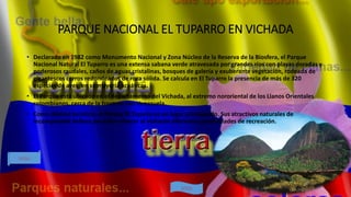 PARQUE NACIONAL EL TUPARRO EN VICHADA
• Declarado en 1982 como Monumento Nacional y Zona Núcleo de la Reserva de la Biosfera, el Parque
Nacional Natural El Tuparro es una extensa sabana verde atravesada por grandes ríos con playas doradas y
poderosos raudales, caños de aguas cristalinas, bosques de galería y exuberante vegetación, rodeada de
gigantescos cerros redondeados de roca sólida. Se calcula en El Tuparro la presencia de más de 320
especies de aves, en su mayoría acuáticas.
• El Parque está ubicado en el departamento del Vichada, al extremo nororiental de los Llanos Orientales
colombianos, cerca de la frontera con Venezuela.
• Como destino turístico, el Parque El Tuparro es un lugar privilegiado. Sus atractivos naturales de
incomparable belleza permiten ofrecer al visitante diferentes posibilidades de recreación.
MENU
ATRAS
 