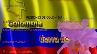 REGIONES DE COLOMBIA
1. REGION ANDINA 2.REGION AMAZONICA
3.REGION DE LOS LLANOS ORIENTALES 4. REGION CARIBE
5.REGION PACIFICA 6.REGION INSULAR
 