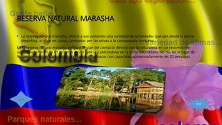 RESERVA NATURAL MARASHA
• La reserva natural marasha, ofrece a sus visitantes una variedad de actividades que van desde la pesca
deportiva, el viaje en canoa,caminatas por las selvas o la caimaneada nocturna.
En la reserva natural marasha podrá disfrutar del contacto directo con la naturaleza en un recorrido de
aproximadamente de 45 minutos desde Leticia y ubicándose en la orilla colombiana del rio, en el lugar de
hospedaje encontrara malokas con camas o hamacas con capacidad aproximadamente de 70 personas
menú
ATRAS
 