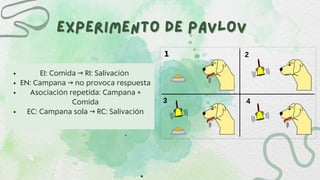 experimento de pavlov
experimento de pavlov
EI: Comida → RI: Salivación
EN: Campana → no provoca respuesta
Asociación repetida: Campana +
Comida
EC: Campana sola → RC: Salivación
 