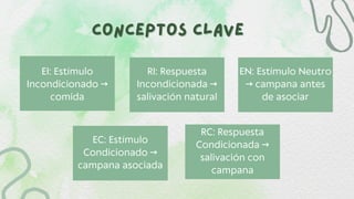 Conceptos Clave
Conceptos Clave
EI: Estímulo
Incondicionado →
comida
RI: Respuesta
Incondicionada →
salivación natural
EN: Estímulo Neutro
→ campana antes
de asociar
EC: Estímulo
Condicionado →
campana asociada
RC: Respuesta
Condicionada →
salivación con
campana
 