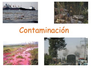 Contaminación 
 