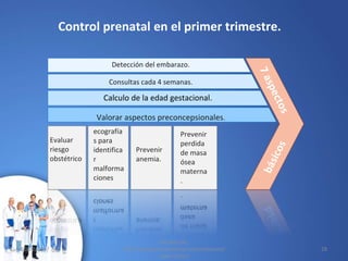 Calculo de la edad gestacional.
Detección del embarazo.
Evaluar
riesgo
obstétrico
Consultas cada 4 semanas.
Valorar aspectos preconcepsionales.
ecografía
s para
identifica
r
malforma
ciones
Prevenir
anemia.
Prevenir
perdida
de masa
ósea
materna
.
Control prenatal en el primer trimestre.
10/02/2017 28
Extraído de:
http://www.ginecobstetra.com/embarazo/i
ndex-5.html
 