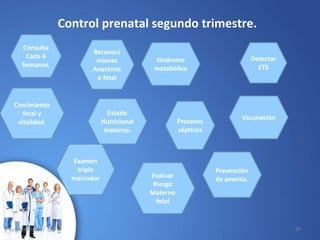 Control prenatal segundo trimestre.
Estado
Nutricional
materno.
Prevención
de anemia.
Procesos
sépticos
Reconoci
miento
Anatómic
o fetal
Vacunación
Síndrome
metabólico
Evaluar
Riesgo
Materno
fetal
Crecimiento
fetal y
vitalidad.
Consulta
Cada 4
Semanas.
Detectar
ETS
Examen
triple
marcador
10/02/2017 29
 