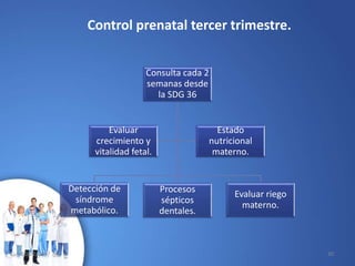 Control prenatal tercer trimestre.
Consulta cada 2
semanas desde
la SDG 36
Detección de
síndrome
metabólico.
Procesos
sépticos
dentales.
Evaluar riego
materno.
Evaluar
crecimiento y
vitalidad fetal.
Estado
nutricional
materno.
10/02/2017 30
 