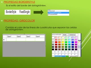 PRESENTACIÓN DE DATAGRIDVIEW | PPTX